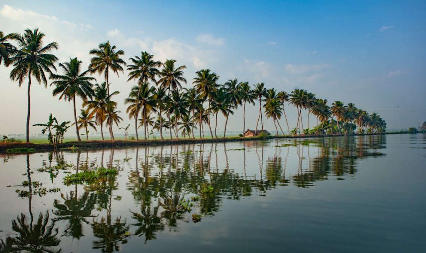 “Discover the Enchantment of Kerala: Your 5-Day Travel Guide to Munnar, Thekkady, and Alleppey’s Must-Visit Gems & Local Delights”
