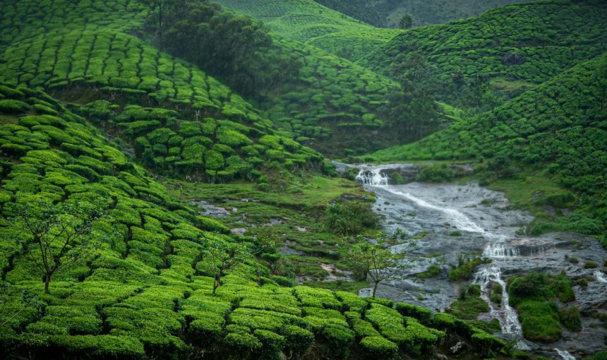 Error: Could not connect to ChatGPT API.