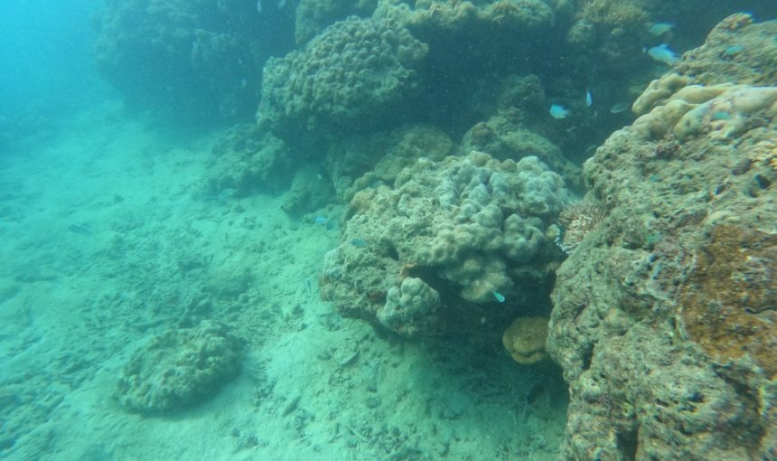 Error: Could not connect to ChatGPT API.