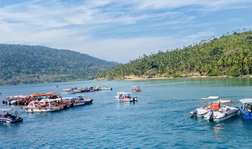 Error: Could not connect to ChatGPT API.