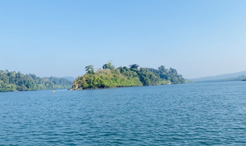 Error: Could not connect to ChatGPT API.