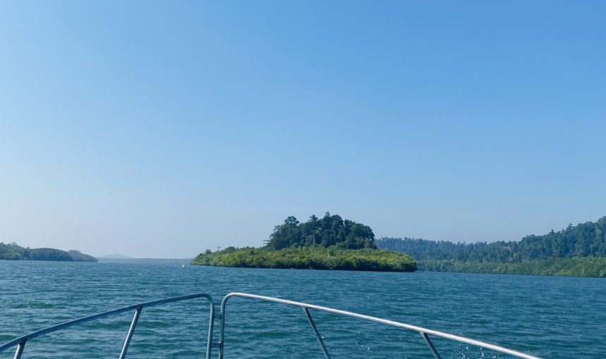 Error: Could not connect to ChatGPT API.