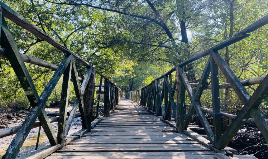 Error: Could not connect to ChatGPT API.