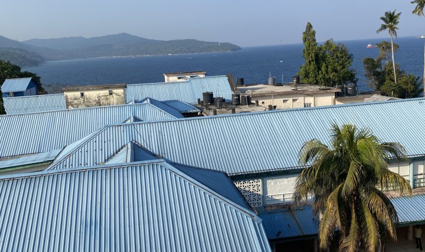 Error: Could not connect to ChatGPT API.