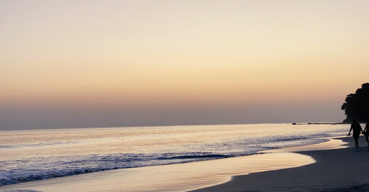 Error: Could not connect to ChatGPT API.