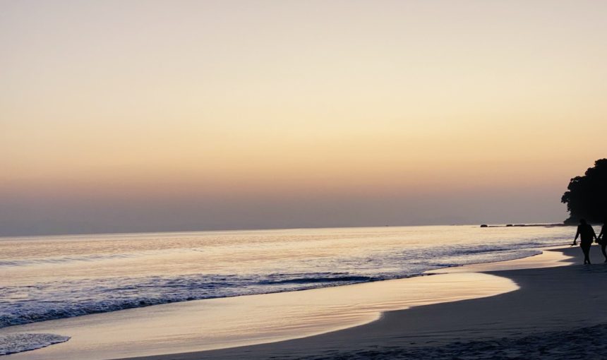 Error: Could not connect to ChatGPT API.