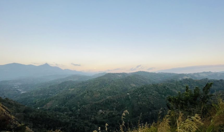 Error: Could not connect to ChatGPT API.