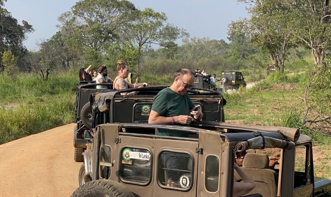 Error: Could not connect to ChatGPT API.