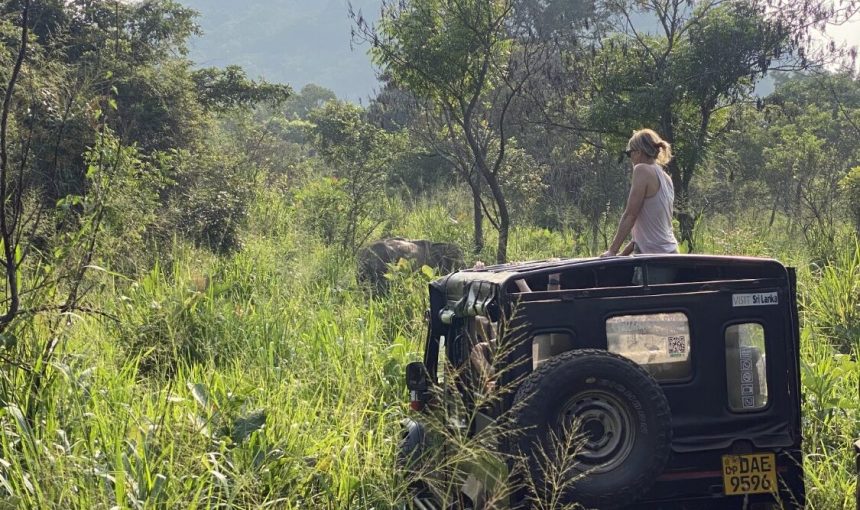 Error: Could not connect to ChatGPT API.