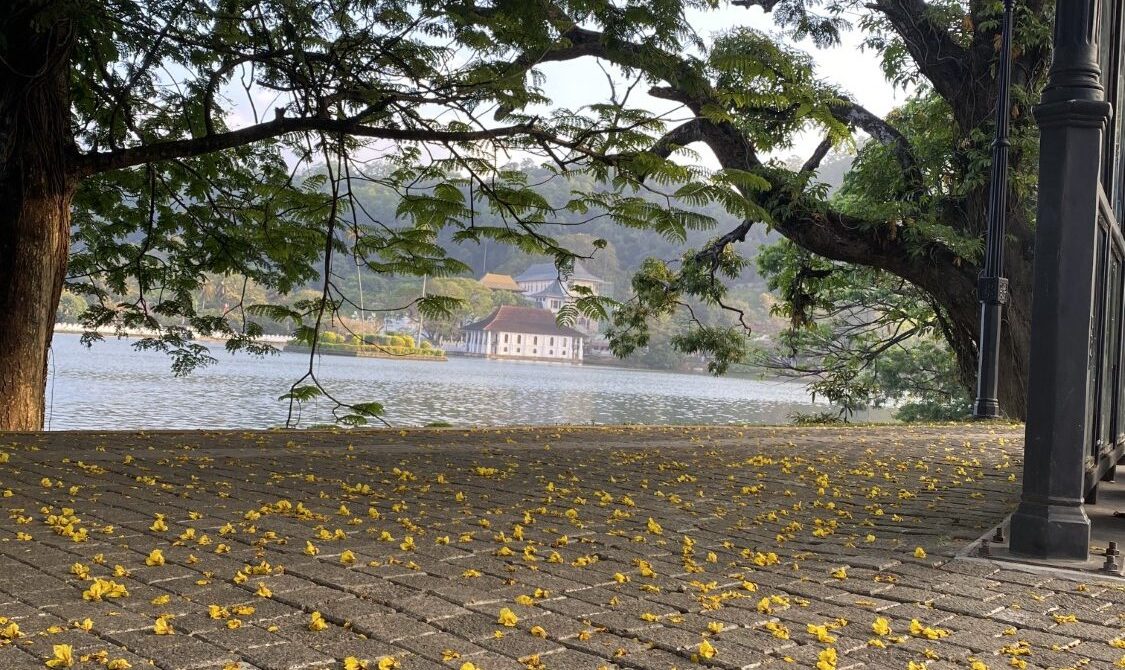 “5 Days in Sri Lanka: Your Essential Travel Guide to Kandy, Nuwara Eliya, Bentota, and Colombo – Explore Cultural Gems, Scenic Beauty, and Local Cuisine on a Budget-Friendly Adventure!”