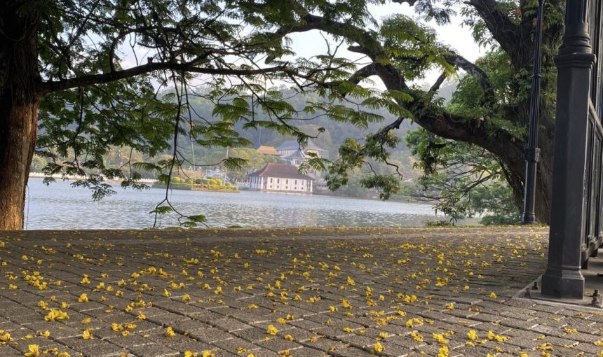 “5 Days in Sri Lanka: Your Essential Travel Guide to Kandy, Nuwara Eliya, Bentota, and Colombo – Explore Cultural Gems, Scenic Beauty, and Local Cuisine on a Budget-Friendly Adventure!”