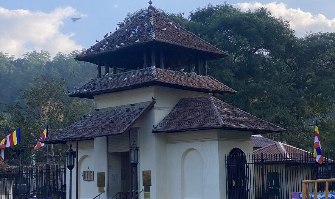 “Discover Sri Lanka in 5 Days: Unmissable Spots, Insider Guides & Culinary Delights – Trip Code: WTE-6245”