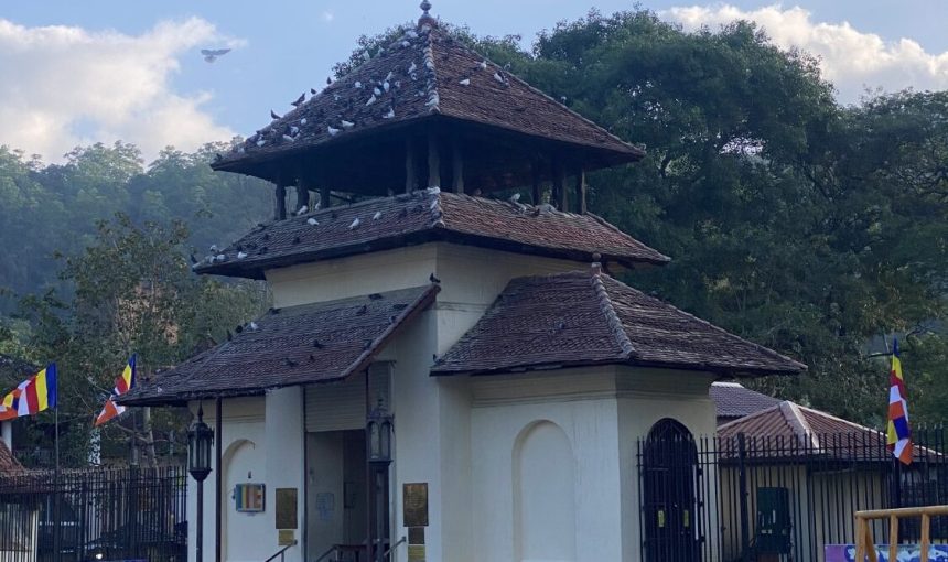 “Discover Sri Lanka in 5 Days: Unmissable Spots, Insider Guides & Culinary Delights – Trip Code: WTE-6245”