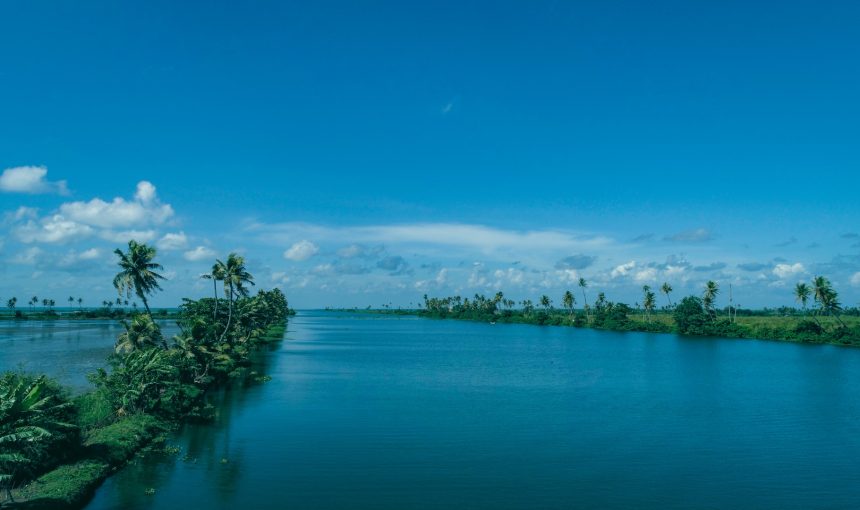 “Embark on a 5-Day Adventure in Kerala: Discover Scenic Munnar, Thrilling Wildlife Tours, and Authentic Local Flavors in God’s Own Country”