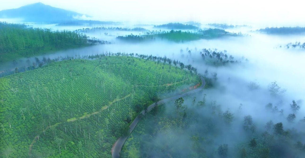 “Discover Kerala’s Allure: An 8-Day Journey Through Tea Plantations, Spice Gardens, and Enchanting Backwaters”