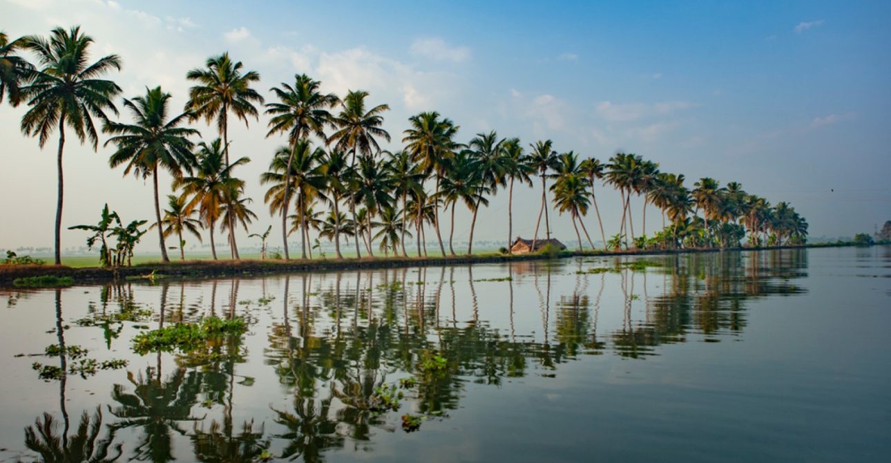 “Discover Kerala’s Enchanting Highlights: A 6-Day Travel Guide through Cochin, Munnar, Thekkady, and Alleppey with Local Flavors and Must-Visit Sites”