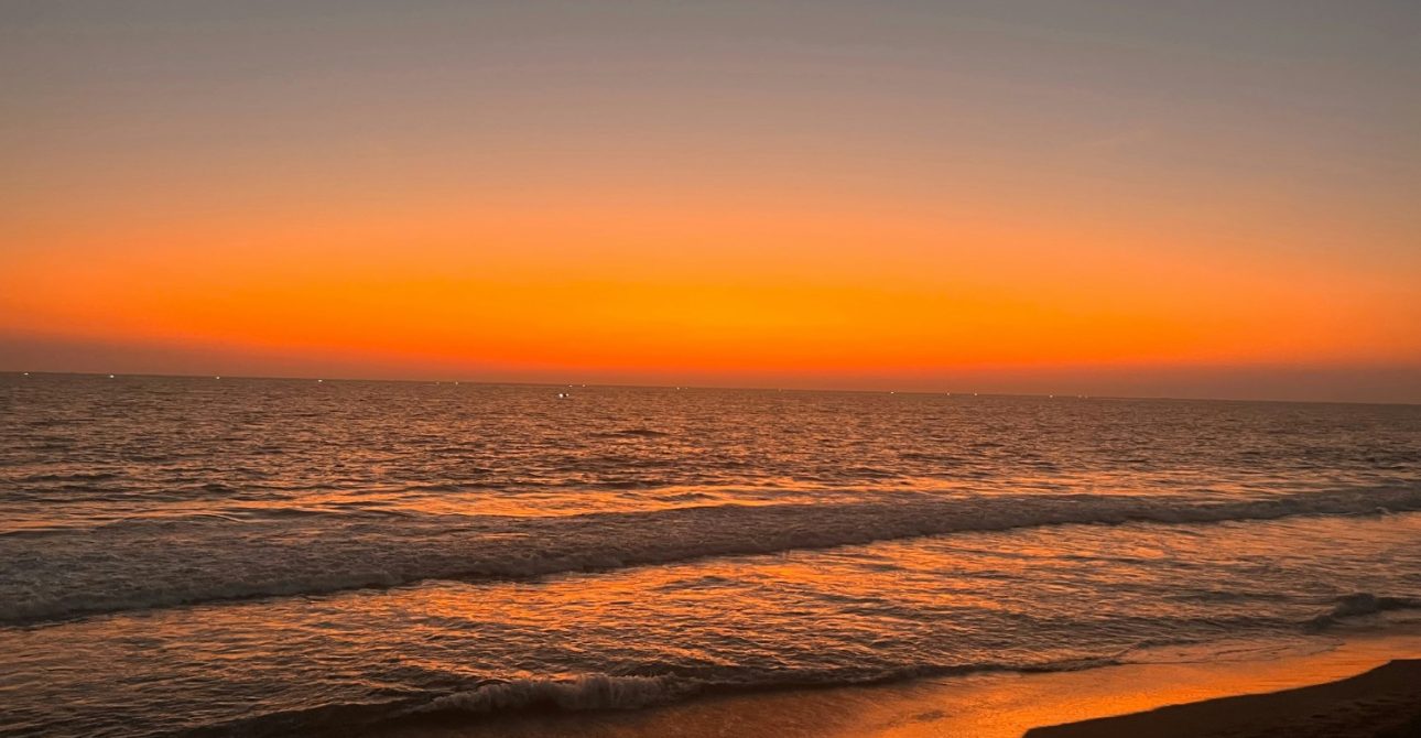 Error: Could not connect to ChatGPT API.