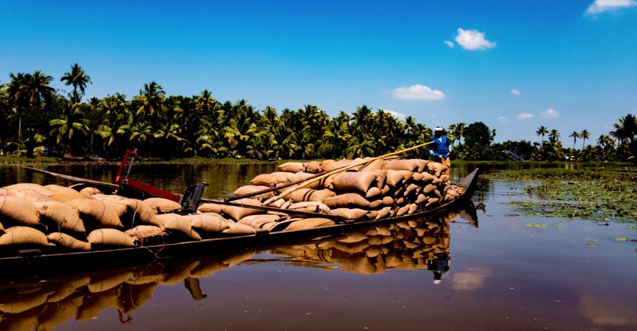 “Waterfall to Waterway: An Exclusive Guide to Kerala’s Luxurious 3-Day Retreat – Must-Visit Spots, Scenic Delights, and Local Flavors”