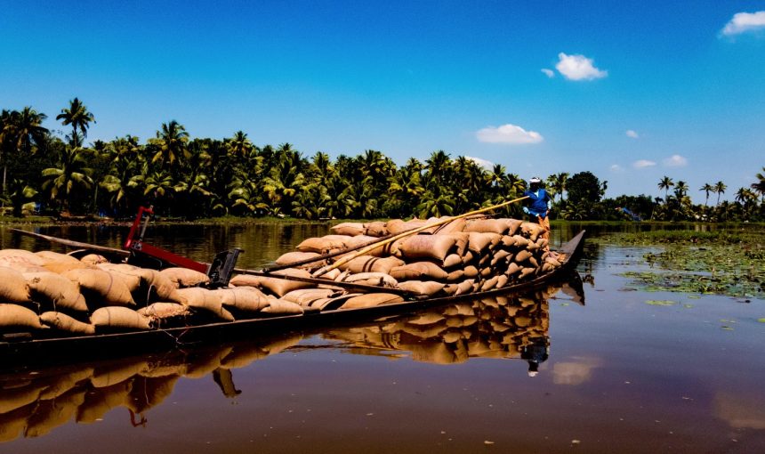 Error: Could not connect to ChatGPT API.