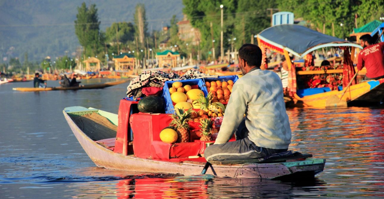 Error: Could not connect to ChatGPT API.