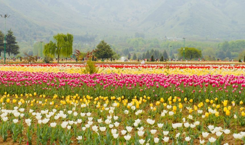 Error: Could not connect to ChatGPT API.