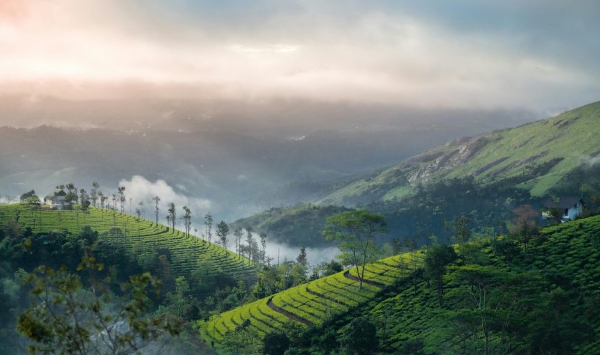 “Discover the Enchantment of Kerala: Your 7-Day Travel Guide to Munnar’s Tea Gardens, Thekkady’s Spice Trails, Alleppey’s Backwaters, and More!”
