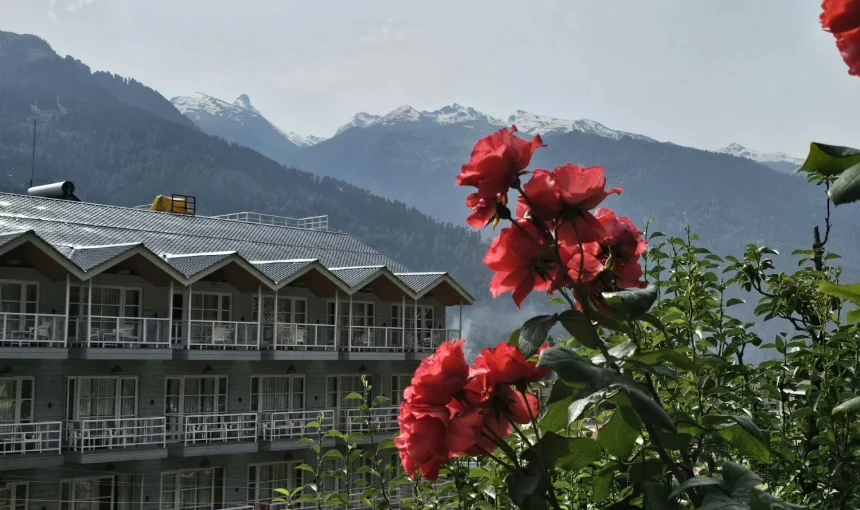 Error: Could not connect to ChatGPT API.